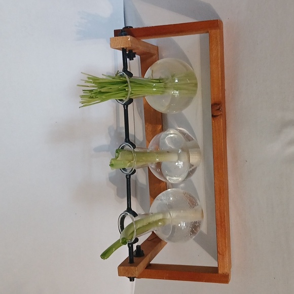 Two Better Homes And Gardens Propagation Station With Wooden Stand. - Picture 8 of 9